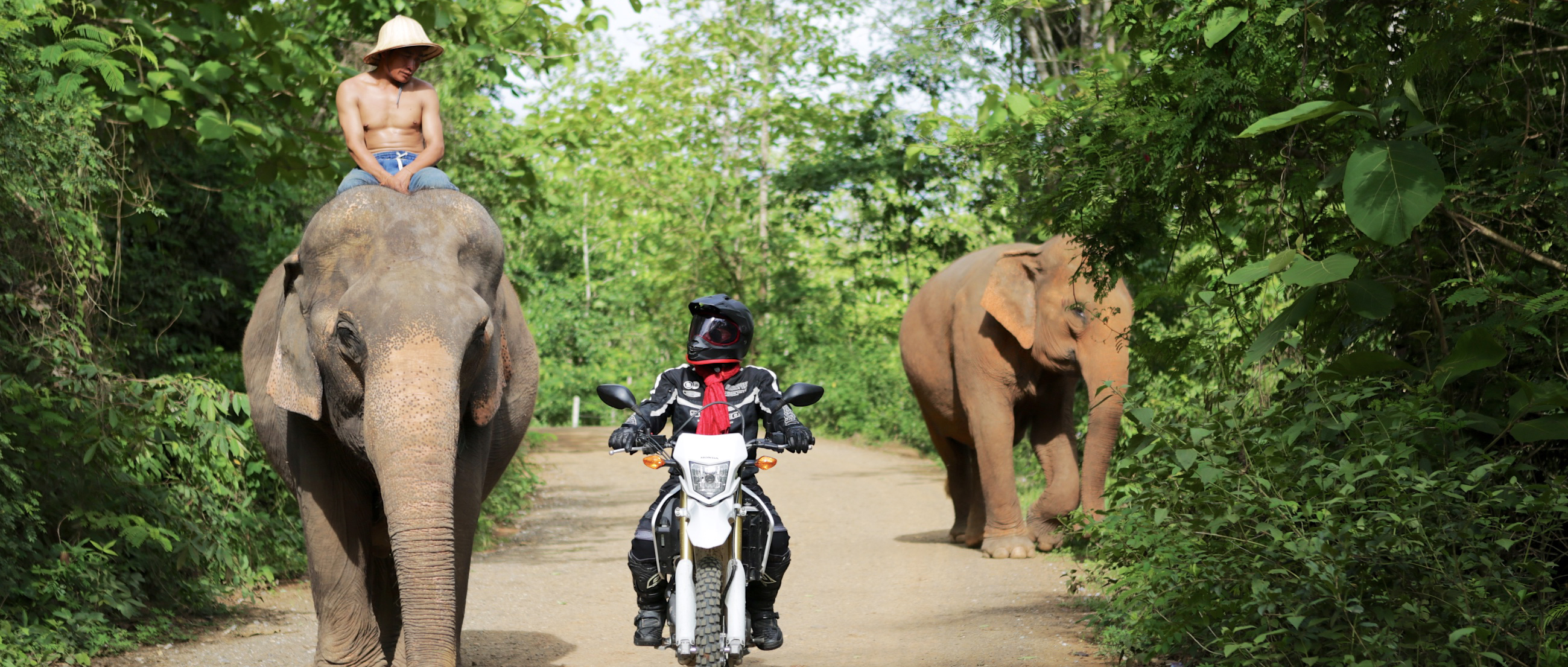 5 Day The Grey Elephant Motorbike Tour Laos