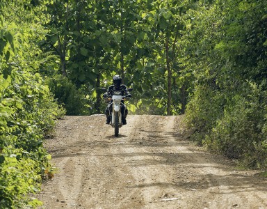 5 Day The White Elephant Motolao Motorbike Tours Laos