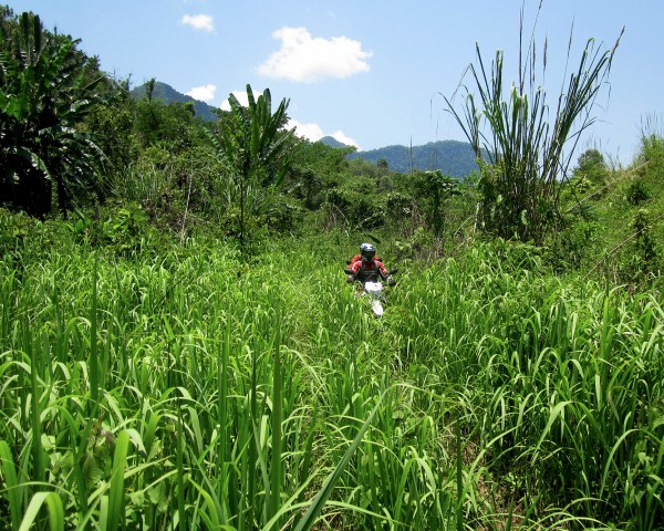 4 day The Grey Buffalo Motolao Motorbike Tours Laos